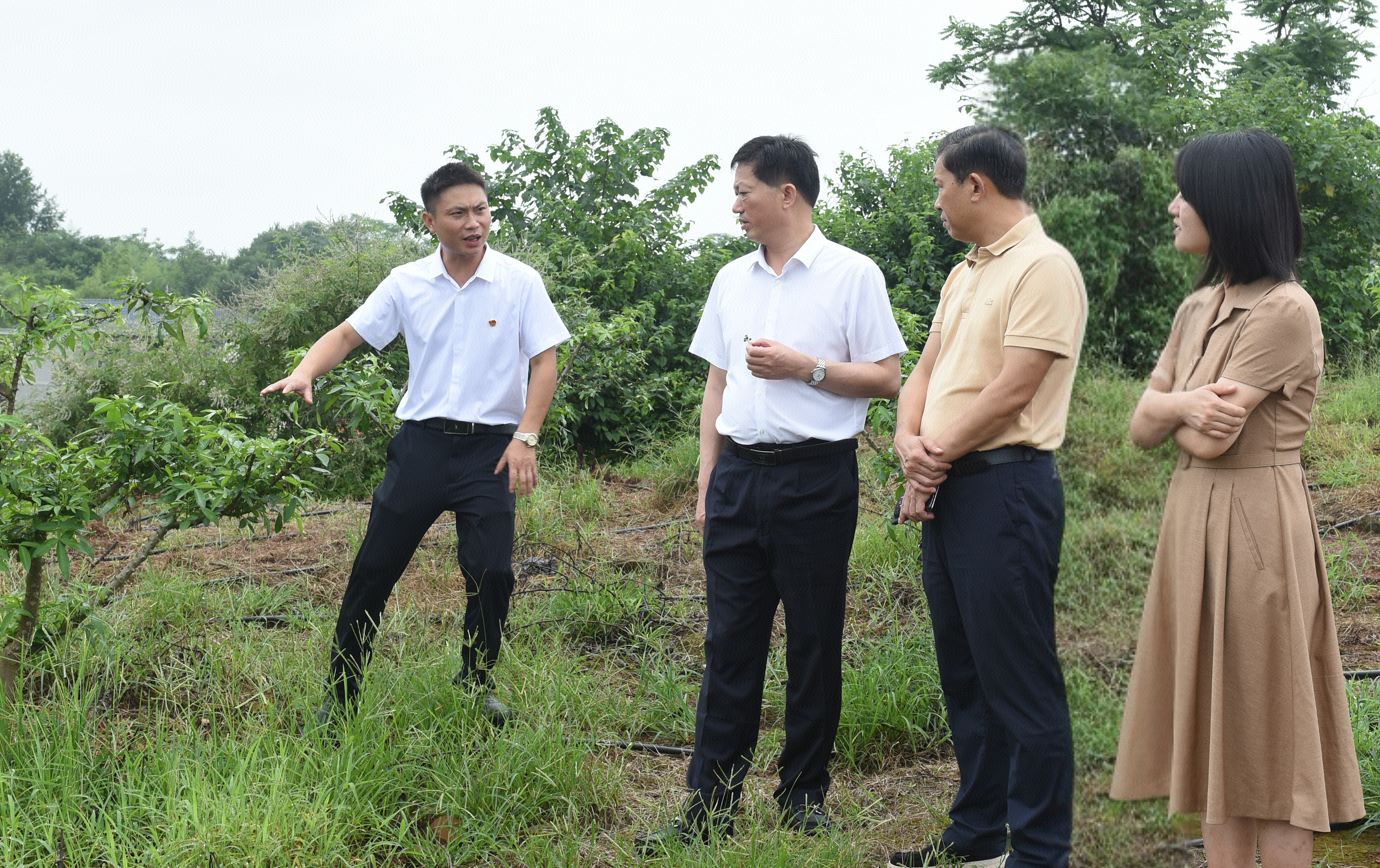 衡阳市检察院赴帮扶村专题调研乡村振兴工作